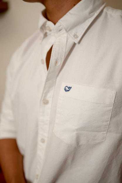 Plain White Oxford Shirt image 2
